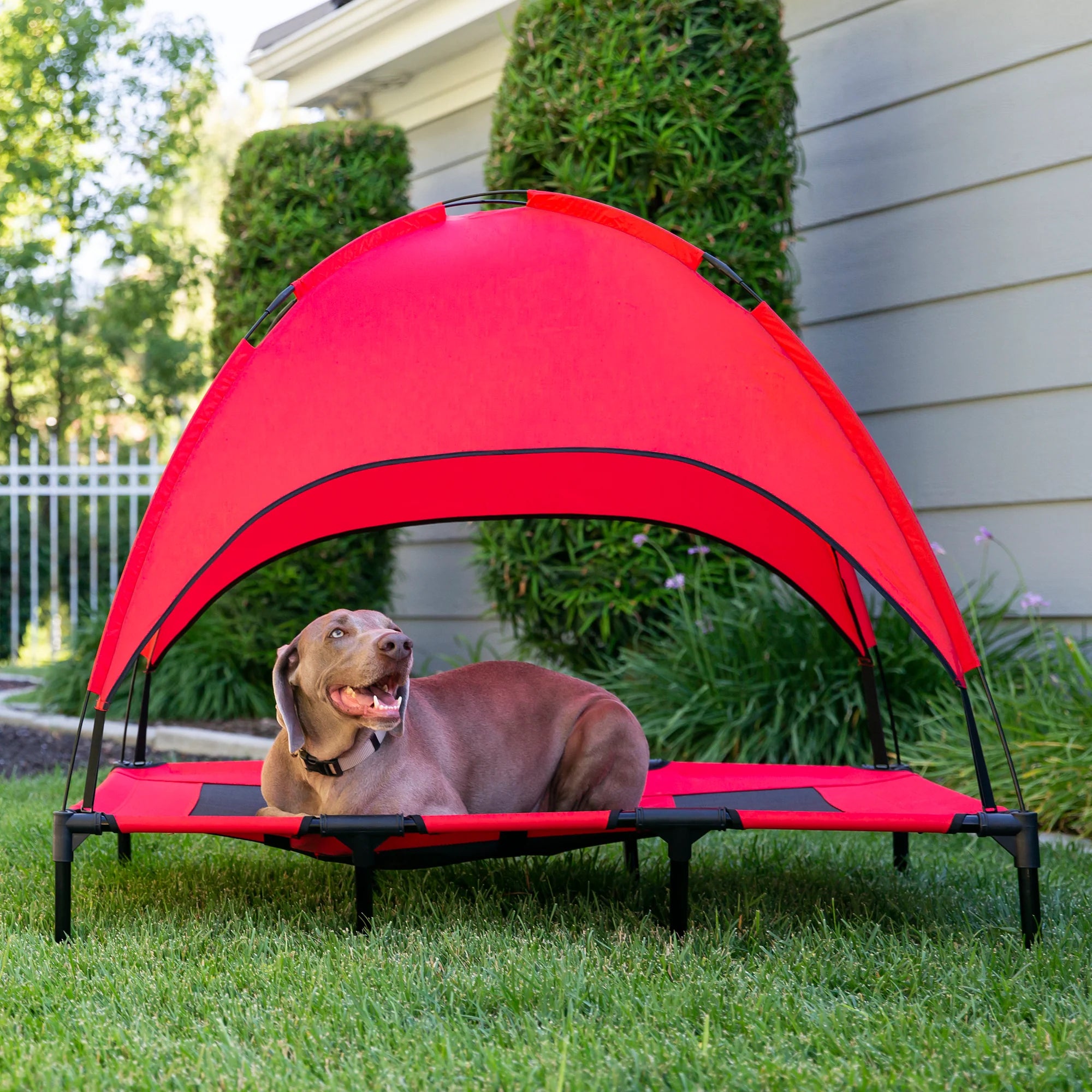 Elevated Cooling Dog Bed, Outdoor Pet Cot W/ Canopy, Carry Bag - 48In