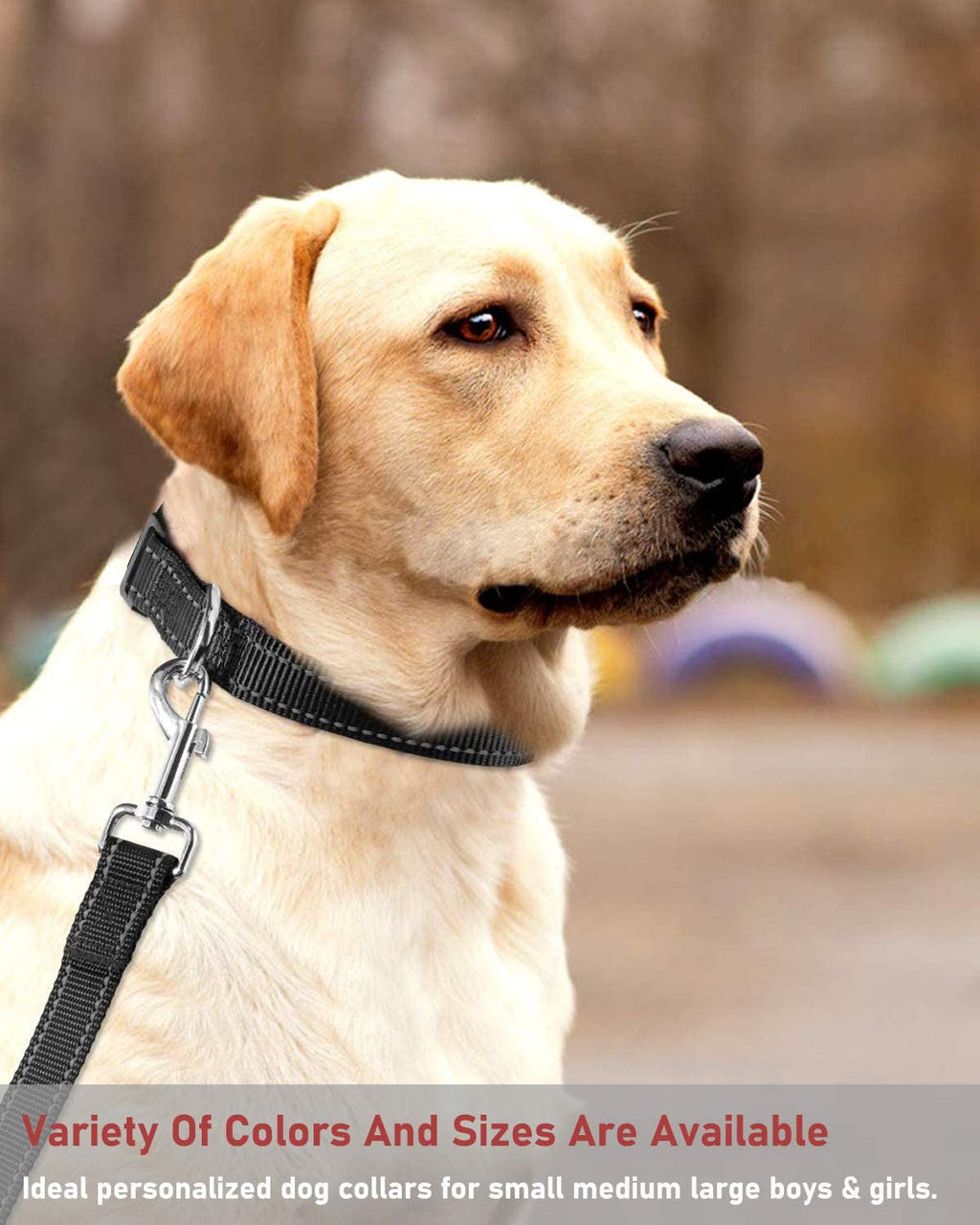 Reflective Dog Collar with Buckle Adjustable Safety Nylon Collars for Small Medium Large Dogs, Black M.