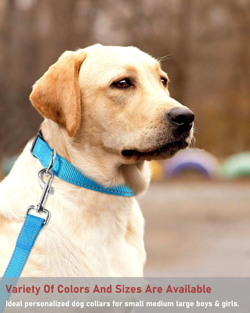 Reflective Dog Collar with Buckle Adjustable Safety Nylon Collars for Small Medium Large Dogs, Blue XL.