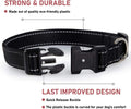 Reflective Dog Collar with Buckle Adjustable Safety Nylon Collars for Small Medium Large Dogs, Black M.