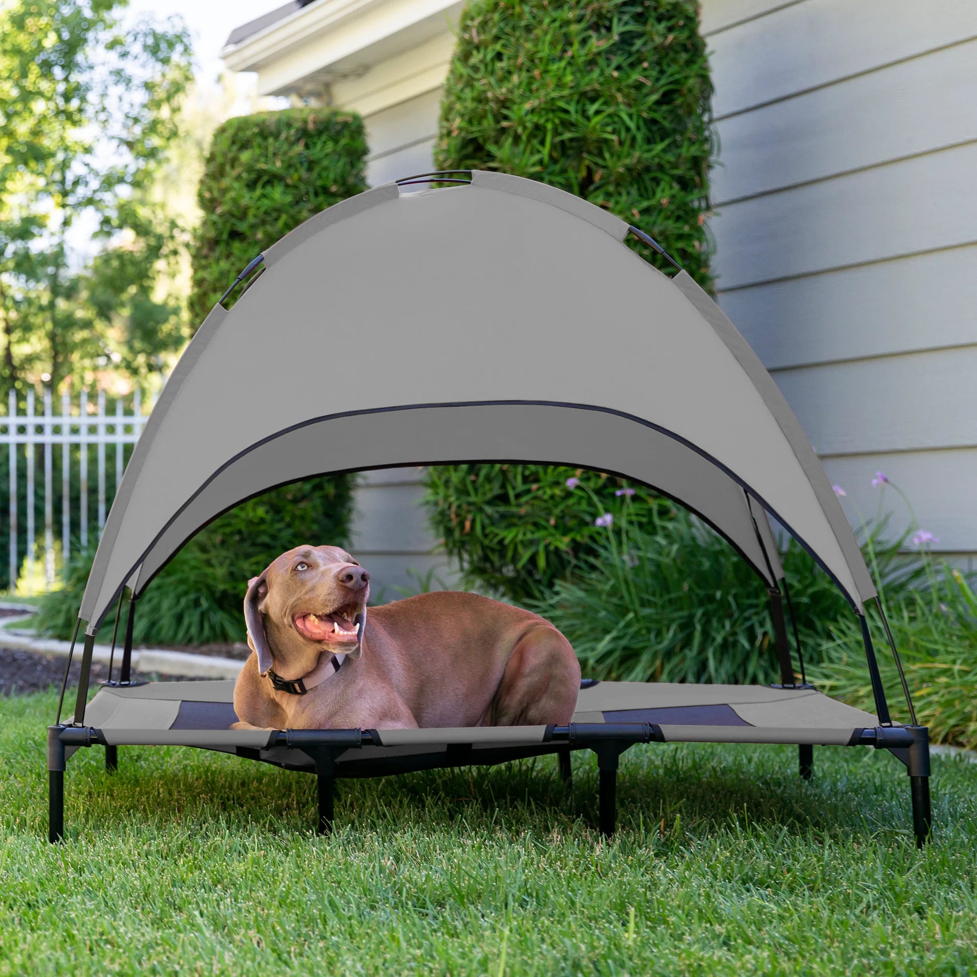 Elevated Cooling Dog Bed, Outdoor Pet Cot W/ Canopy, Carry Bag - 48In